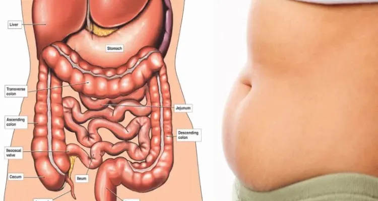 طرق تنظيف القولون طبيعياً دون أطباء ومشافي.. إليك 5 منها: أخبار