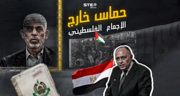 ما بين مؤيد ومعارض.. تصريحات وزير الخارجية المصري تشعل تفاعلاً .. شاركنا برأيك ؟: أخبار