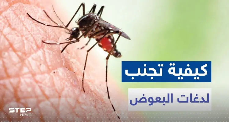 لتجنب لدغات البعوض مع دخول فصل الصيف.. تناول هذه الأعشاب والتوابل: أخبار