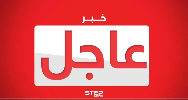 ولاية جورجيا الأمريكية ستعيد فرز الأصوات بالانتخابات الرئاسية يدوياً: أخبار