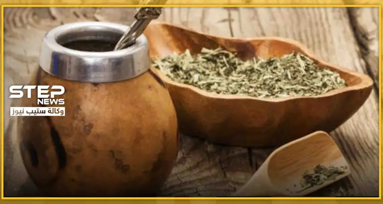 تعزز المناعة وتحارب البكتيريا.. 12 فائدة صحية لم تعرفها من قبل لـ "المتة": أخبار