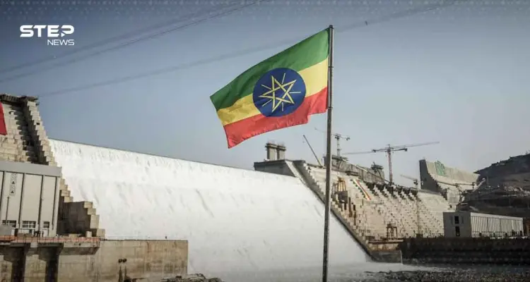 إثيوبيا ترد على تصريحات السيسي: "لن نصادر حقنا في مياه النيل": أخبار