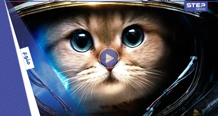 بالفيديو|| انطلقت من الجزائر إلى المجرات الخارجية.. قصة أول قطة تسافر إلى الفضاء: أخبار