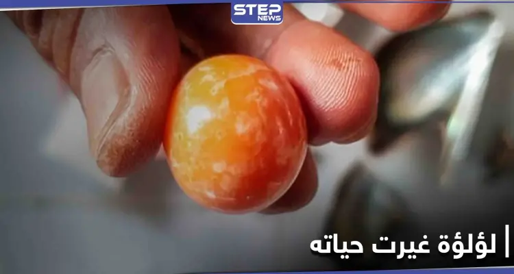 كما في الروايات... لؤلؤة نادرة تقلب حياة صياد رأساً على عقب (صور): أخبار