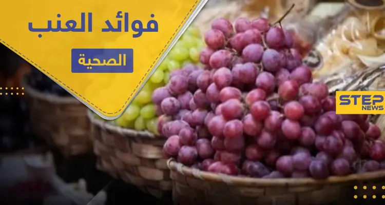 فوائد العنب وخواصه المتميزة في علاج الأمراض: أخبار