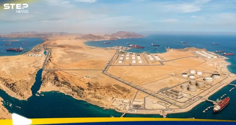 الإمارات تبحث الانضمام لجهود دولية لحماية مضيق هرمز: أخبار