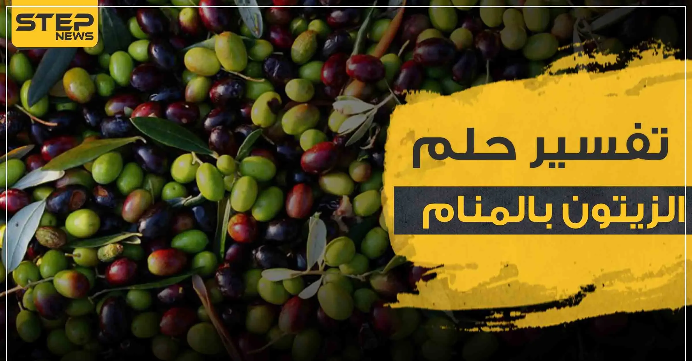 تفسير رؤية الزيتون في المنام بأنواعه وألوانه وبجميع الوضعيات: تفسير الاحلام