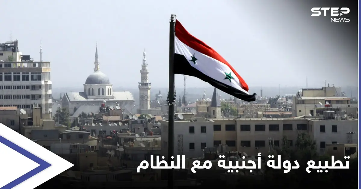 دولة أجنبية قد تطبع مع النظام السوري بعد الأردن وتوقعات متباينة حول اللجنة الدستورية: النظام السوري