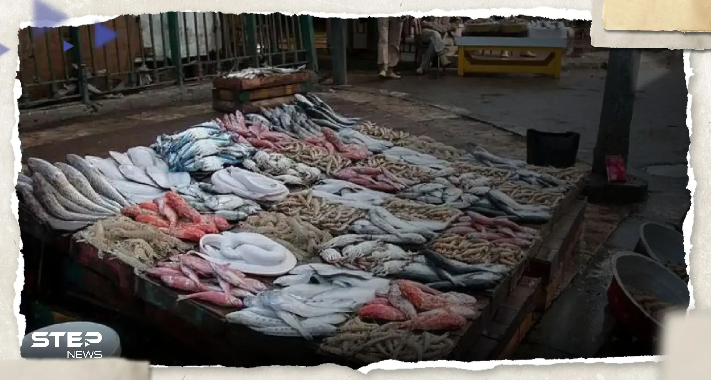 تحذير عاجل في مصر من "مادة زرقاء مضيئة" في سمك يباع في البلاد: أسماك الماكريل