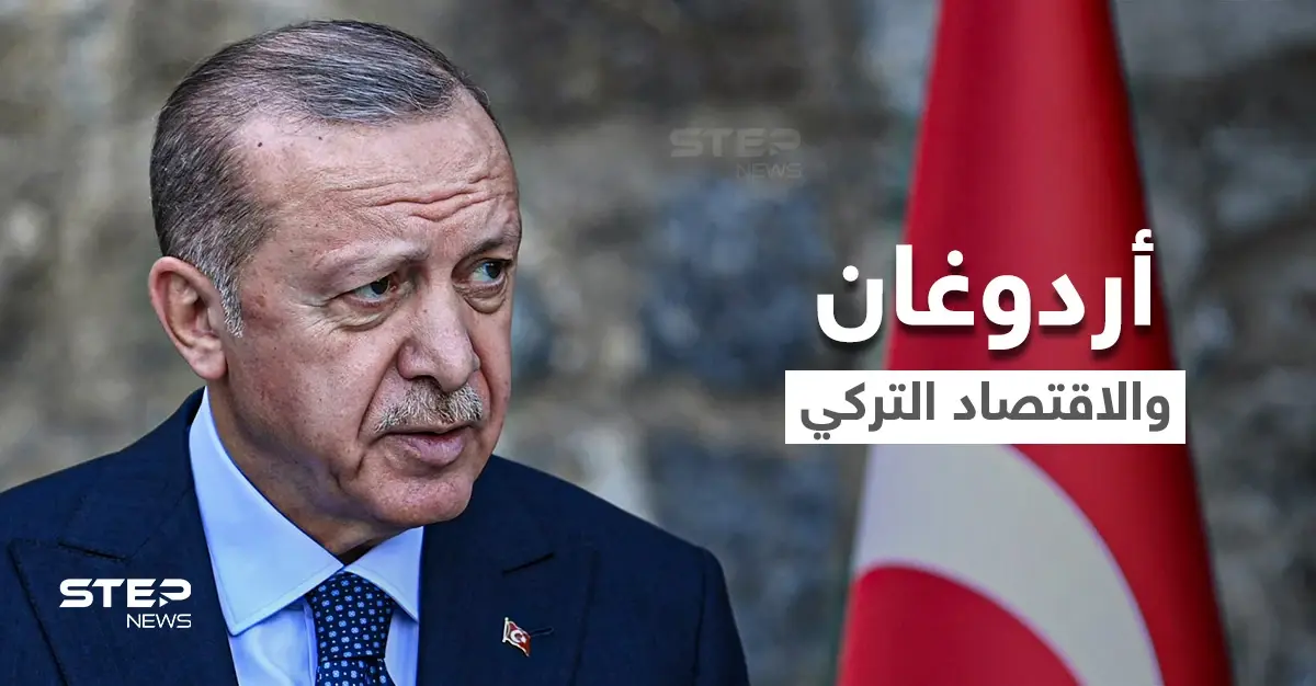 هل يُسقط الاقتصاد التركي المتعثّر حكم الرئيس أردوغان؟: الاقتصاد التركي