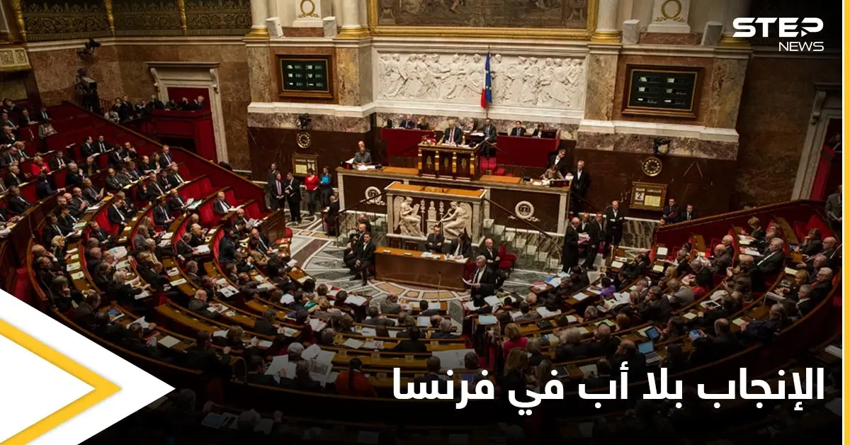 الإنجاب من دون أب.. فرنسا تقر قانوناً يسمح باستخدام المساعدة الطبية للنساء العازبات والمثليات: الإنجاب