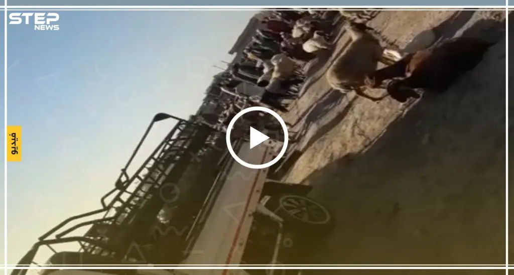 جولة لعدسة ستيب من سوق المواشي في قرية ابريهة بريف دير الزور (فيديو): سلايد رئيسي