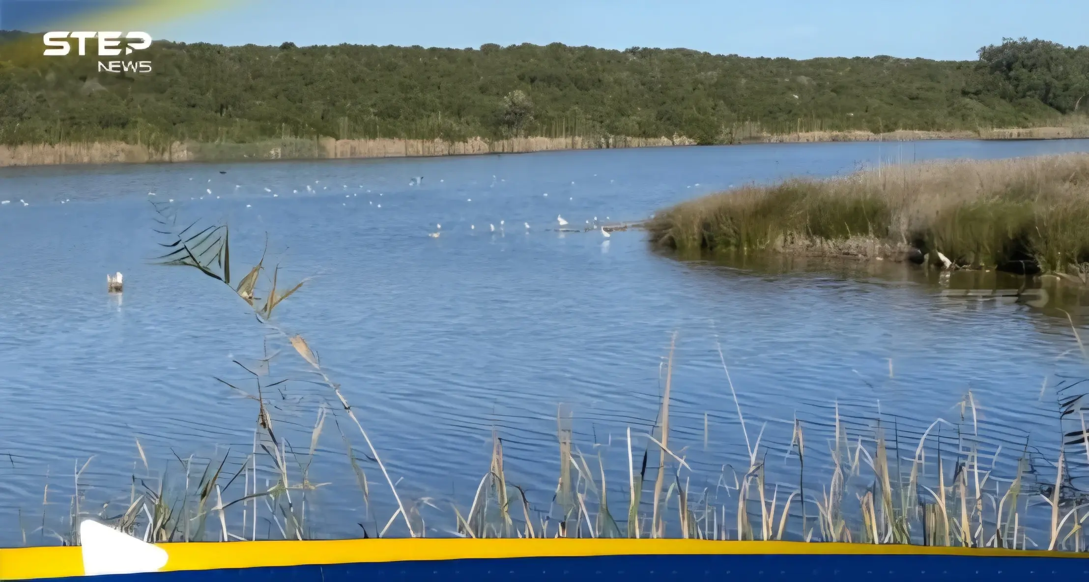 تحذير من كارثة وشيكة تهدد الأرض: منوع