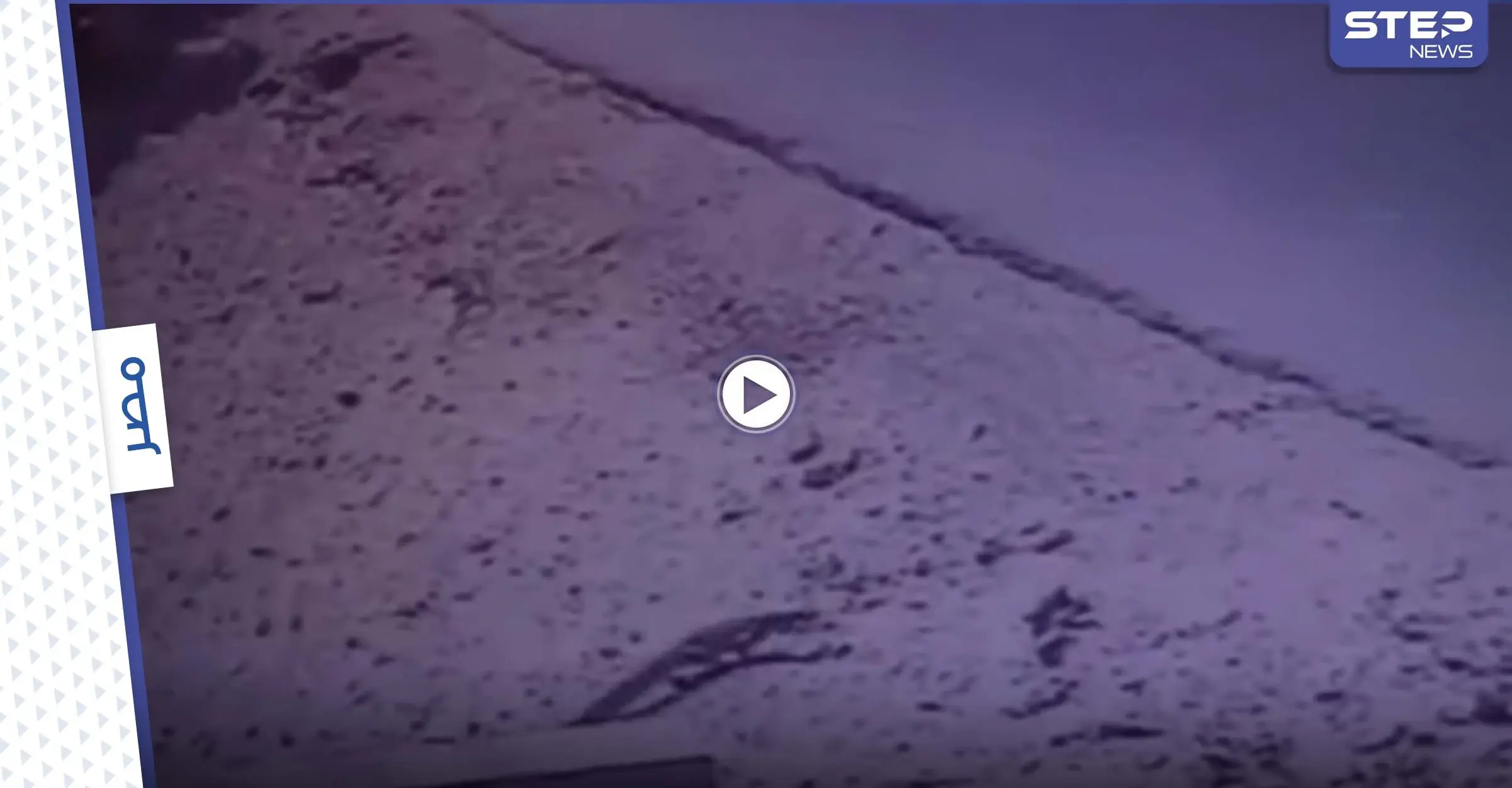 ظهور حيوان غريب في مصر يشبه التمساح ويتسبب بحالة من الهلع والخوف (فيديو): تمساح