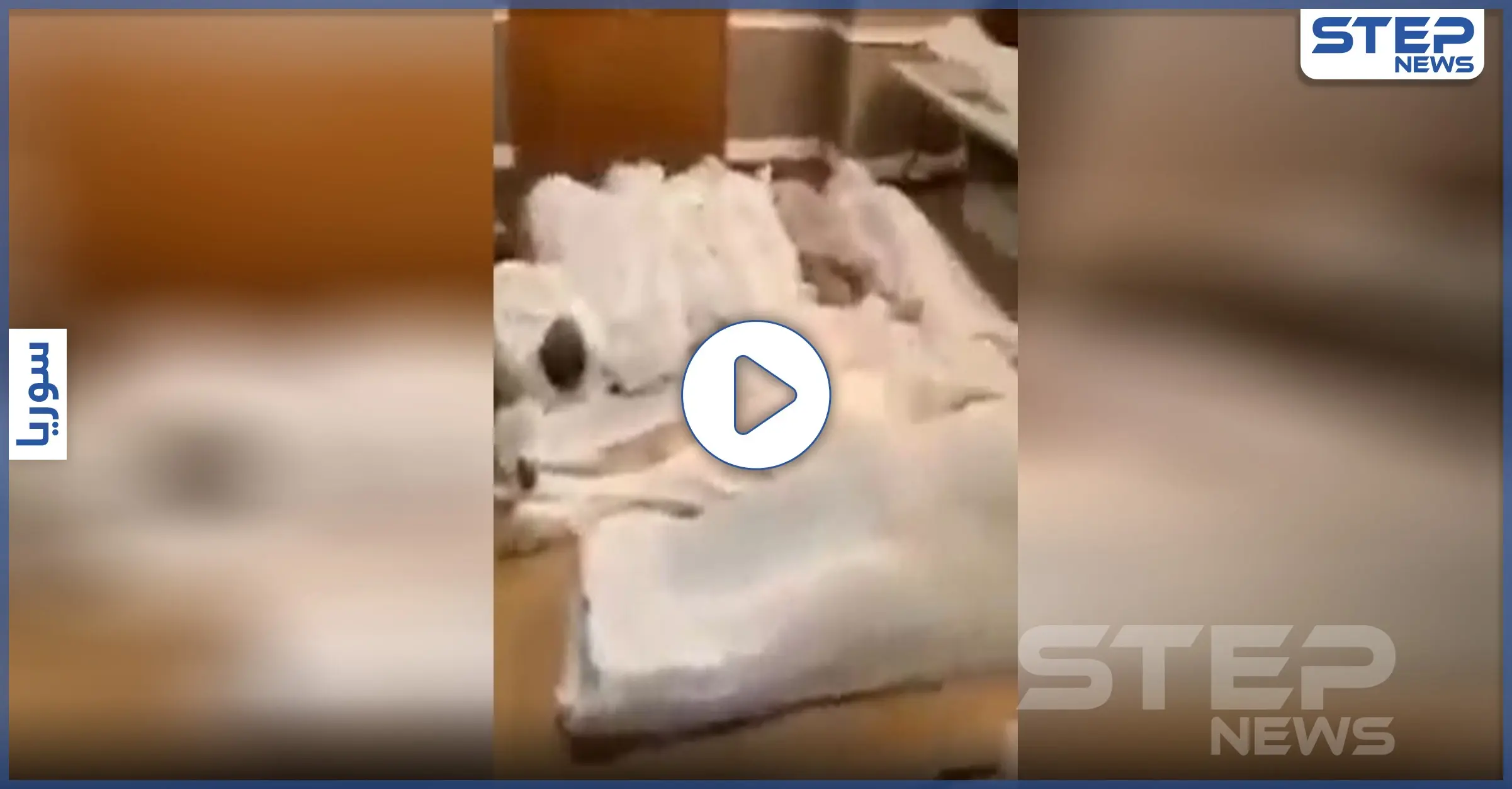 بالفيديو|| جثث متكدّسة ومتروكة.. عشرات الموتى من المسلمين جرّاء كورونا ينتظرون دفنهم بنيويورك: Covid-19