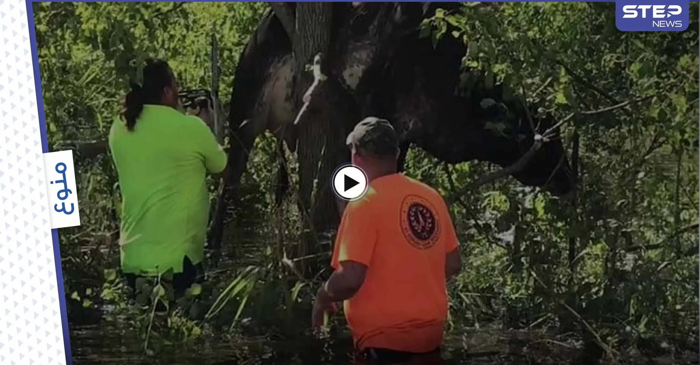بالفيديو|| إعصار إيدا يتسبب بمشاهد نادرة ويعلق بقرة فوق الشجرة.. وتحذيرات من إعصار لارى: أعاصير