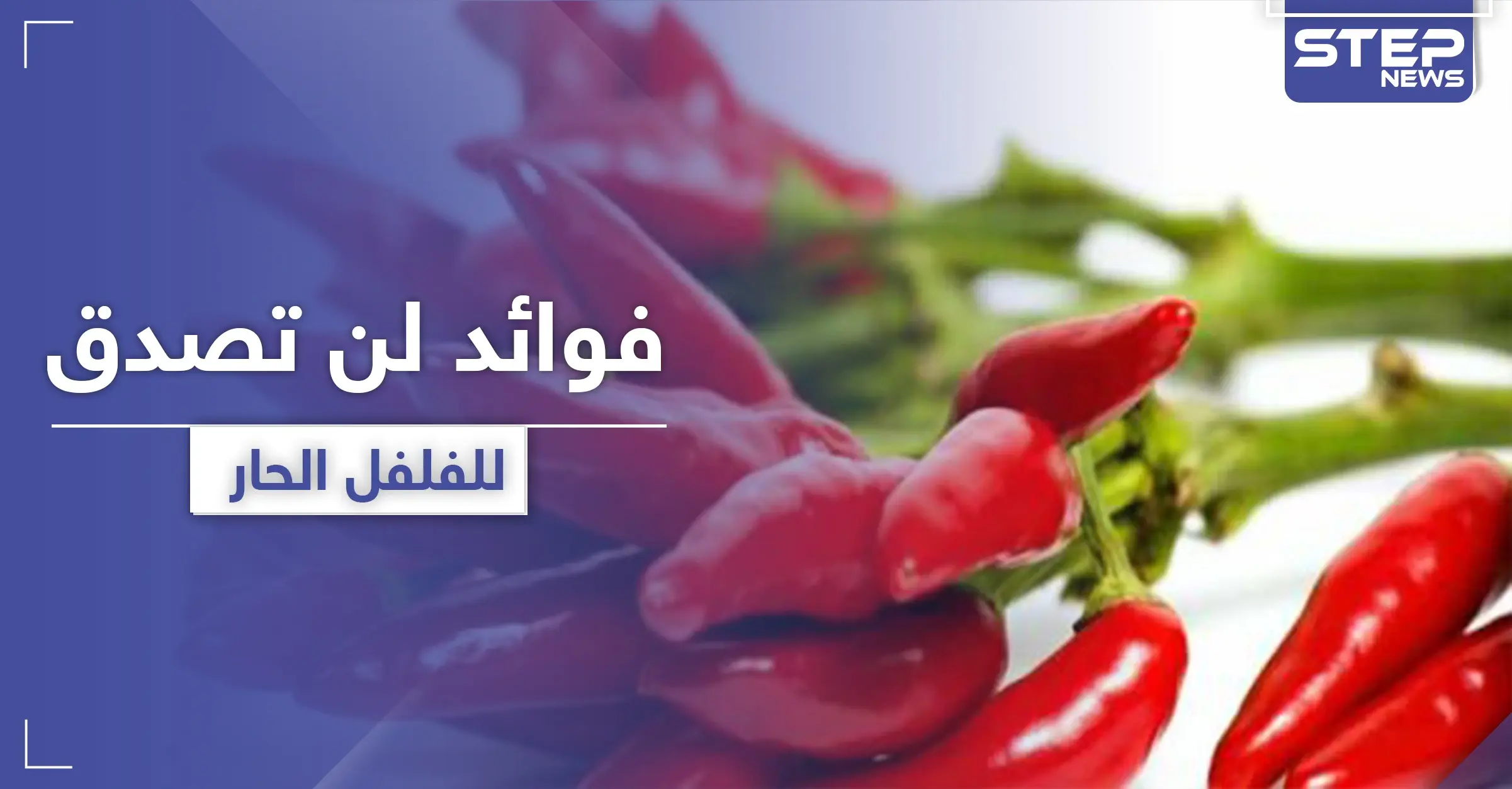 فوائد غير متوقعة تجدها في الفلفل الأحمر الحار.. تجعلك تواظب على تناوله كل اليوم: المعدة