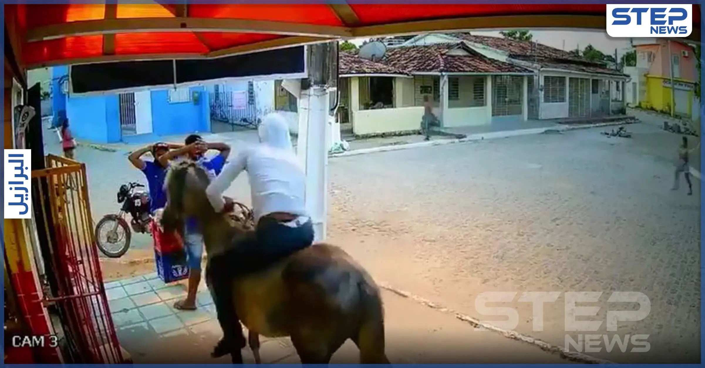 بالفيديو|| حصان يشارك بعملية سرقة "غريبة من نوعها" في البرازيل: الأجهزة الأمنية