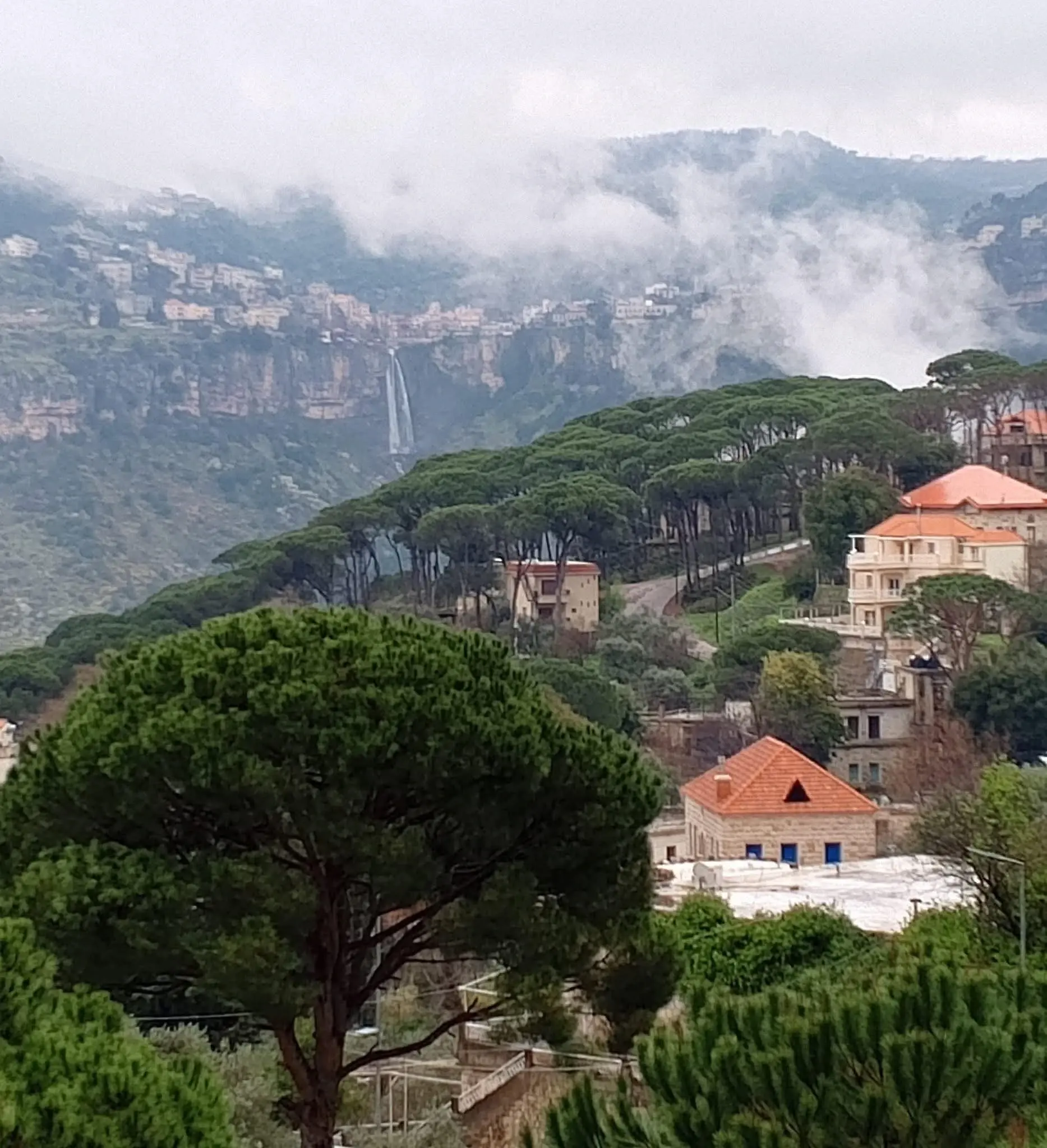 لبنان - عدسة الجمهور - وكالة ستيب نيوز