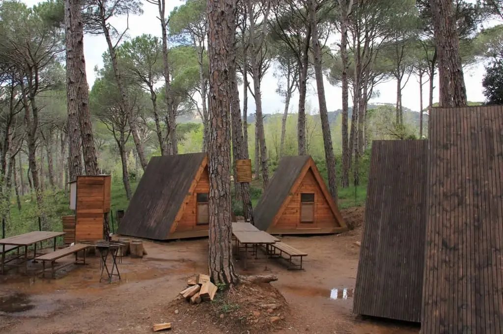 لبنان - عدسة الجمهور - وكالة ستيب نيوز