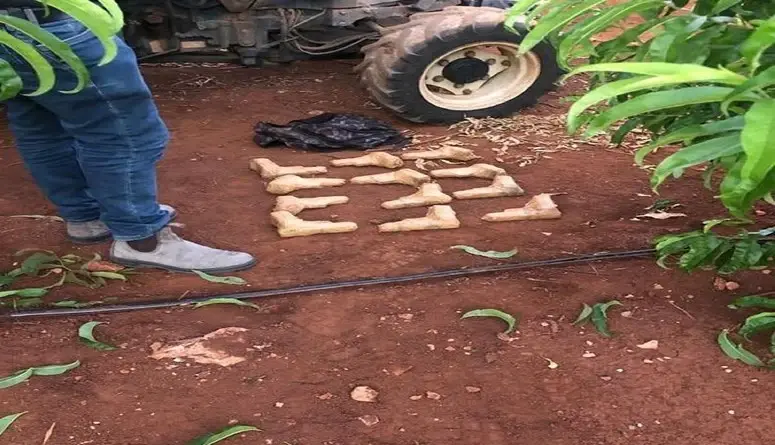 الجيش الإسرائيلي يعلن إحباط عملية تهريب أسلحة على الحدود مع لبنان.. وادرعي يكشف التفاصيل: إحباط عملية تهريب