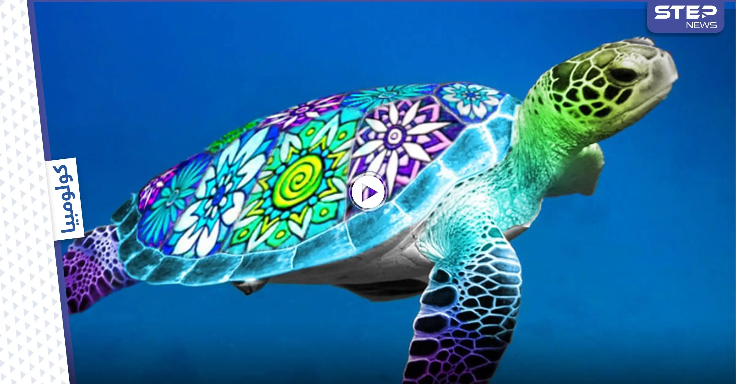 بالفيديو|| إطلاق مجموعة من السلاحف في بحر كولومبيا والكشف عن سبب التهام الأهالي لهذه الحيوانات: كولومبيا