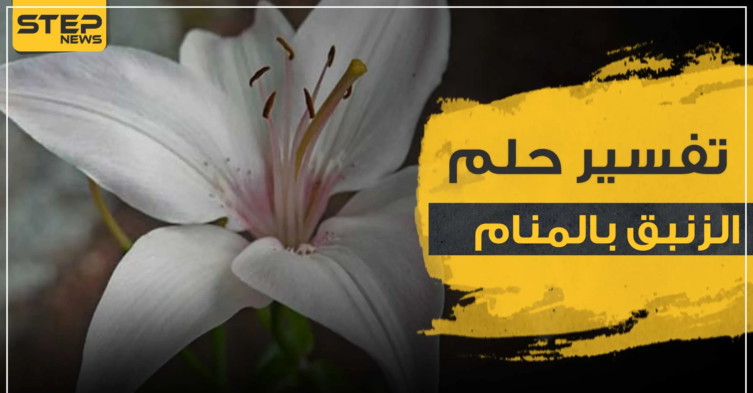 تفسير رؤية زنبق في الحلم والأزهار عموما لجميع أفراد العائلة: تفسير رؤية زنبق في الحلم