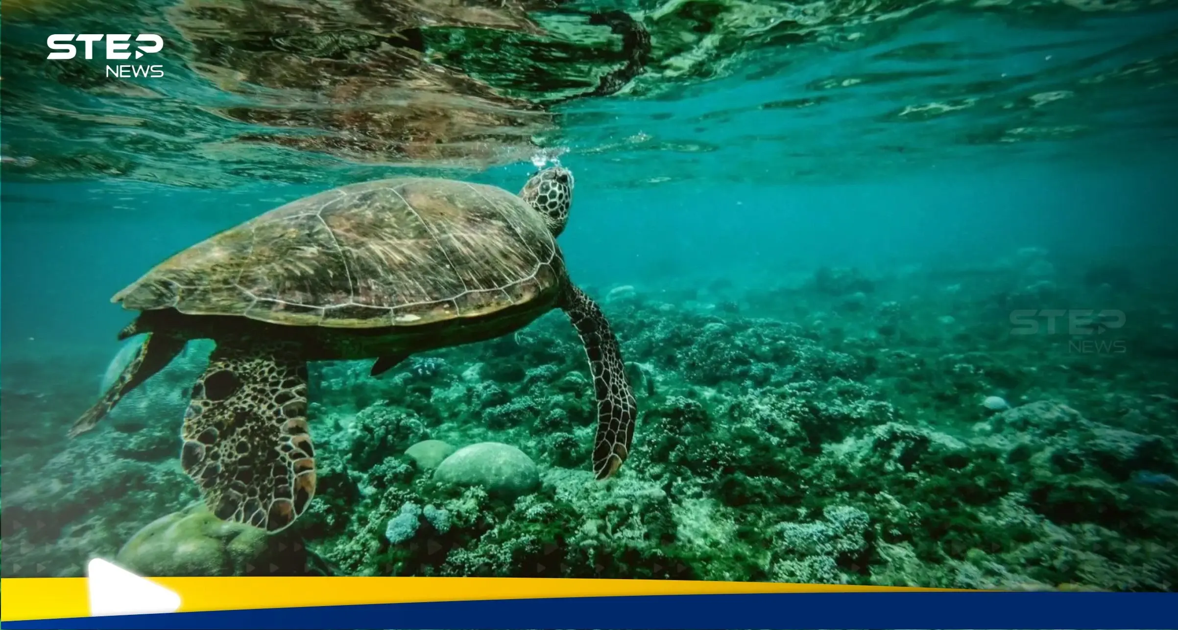 المحيطات تكشف أسرارها.. دراسة علمية تفجر مفاجأة حول تغيير كبير أصاب المسطحات المائية: المحيطات