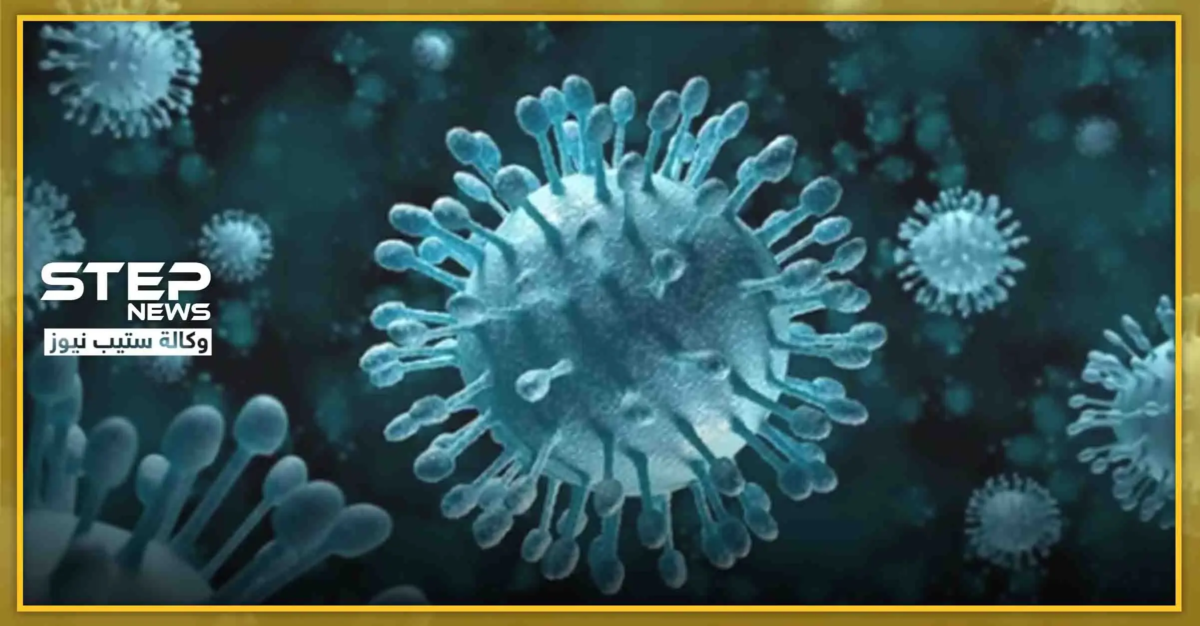 معلومة طبّية هامّة.. كيف تقوّي جهاز مناعتك لمواجهة الفيروسات والأمراض..: المناعة