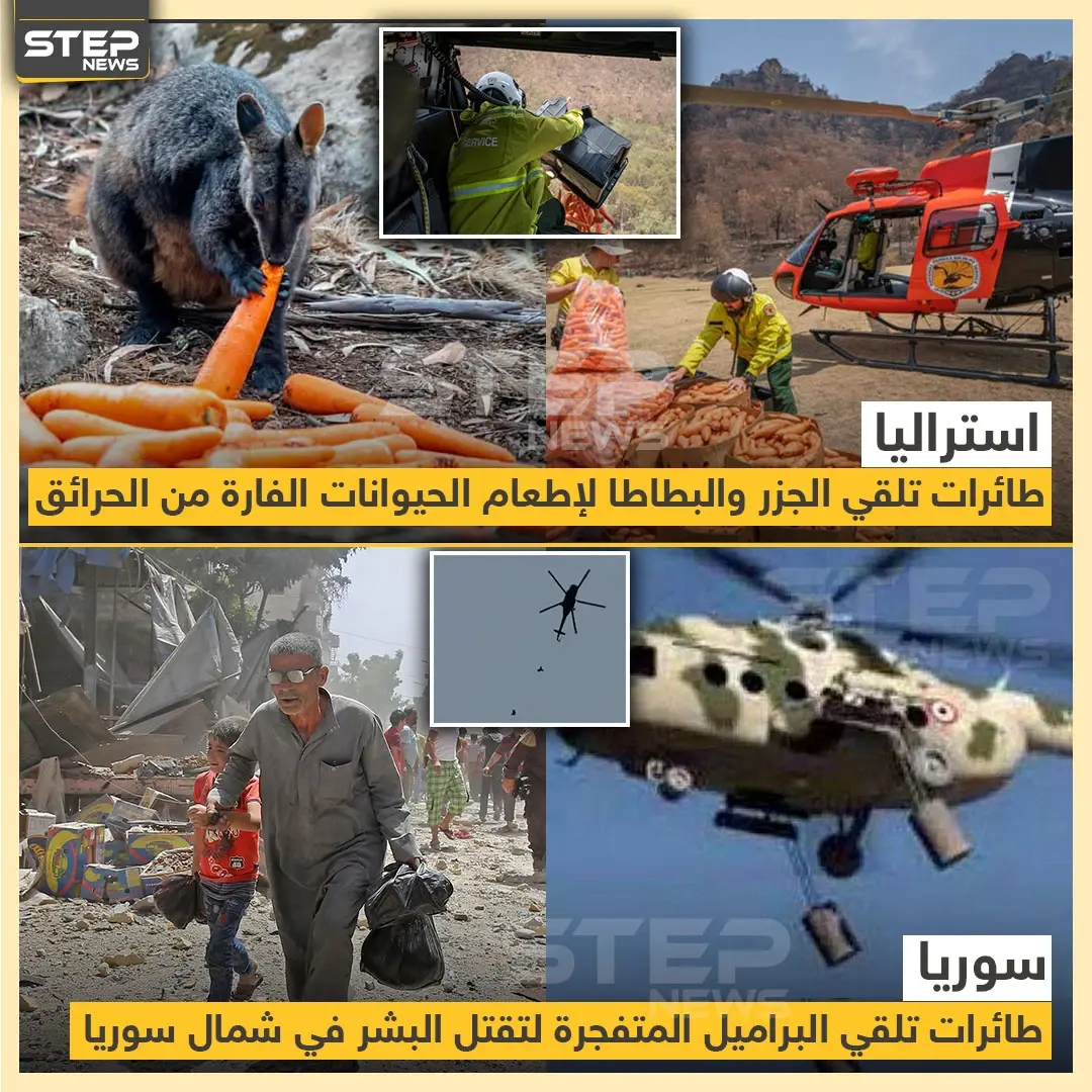 الفرق في استخدام الطيران بين سوريا و استراليا: استراليا