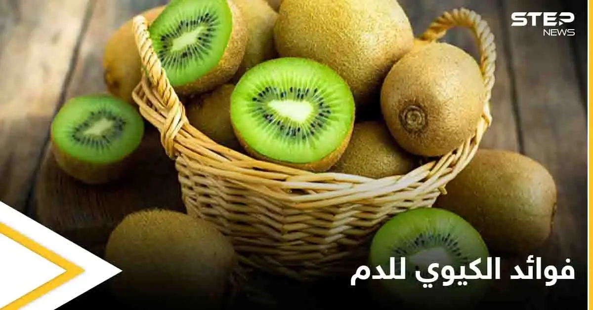 تعرف على فوائد الكيوي للدم ودوره في الحماية من أمراض عدة: فوائد