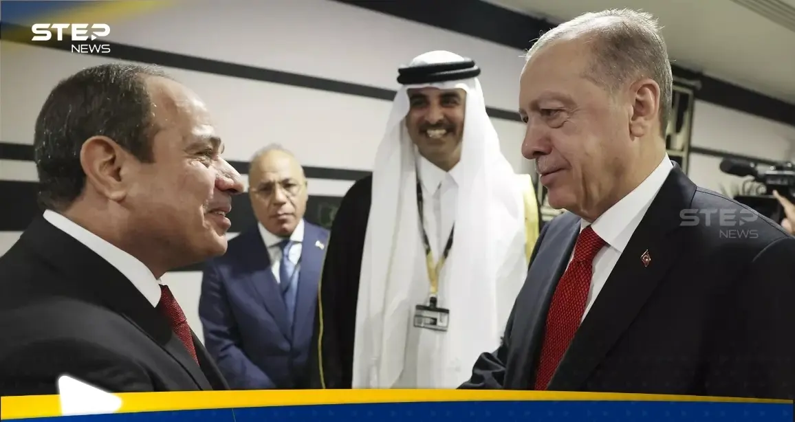 مستشار أردوغان يكشف عن "القائد الحالي" للعرب.. من هو؟: أردوغان يعلن