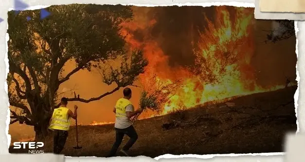 الدرك الوطني الجزائري يعتقل المتسبب في حرائق عش الباز بولاية بجاية: حرائق الغابات
