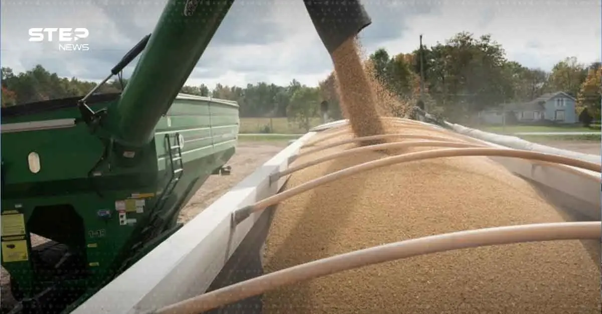 الغذاء والوقود.. جبهة الحرب الاقتصادية الجديدة بين واشنطن وبكين: الغذاء