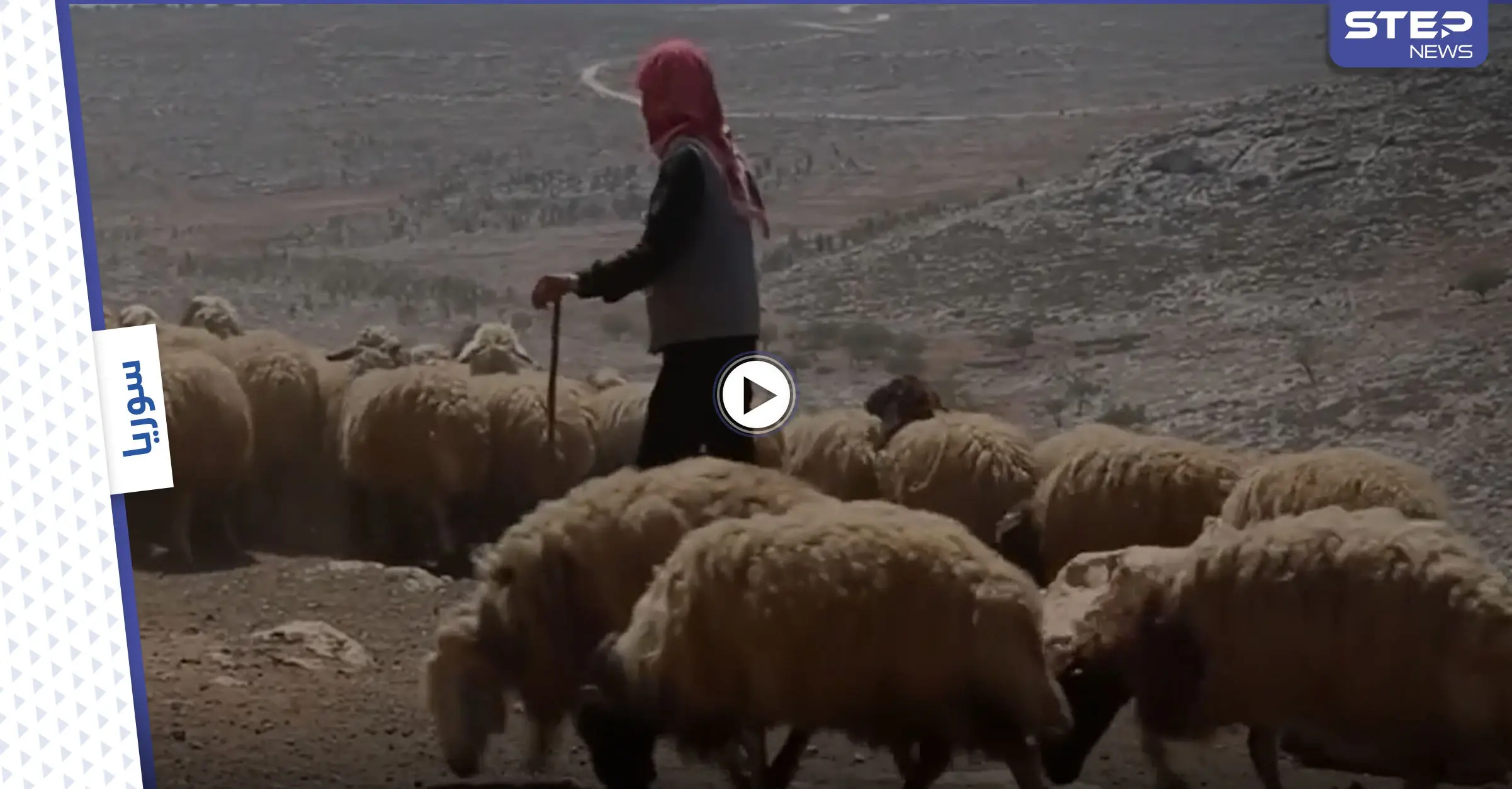 بالفيديو || بادية ريف حمص الشرقي مقصداً لمربي المواشي هرباً من تنظيم داعش: المواشي