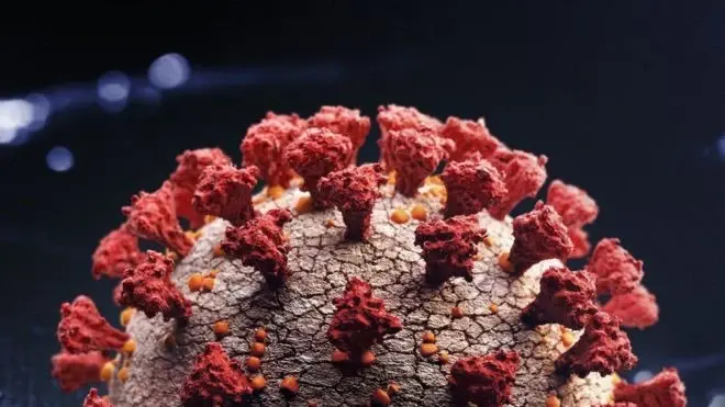 علماء ينشرون أول صورة كبيرة لمتحور أوميكرون بعد عزله: متحور أوميكرون