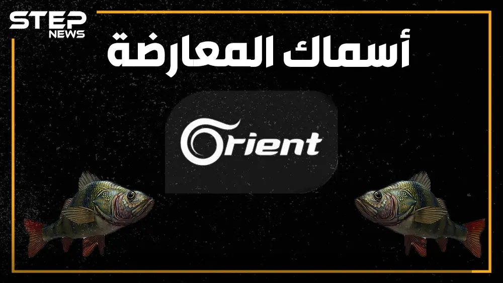 قناة أورينت تحرز ذهبية تبديل المواقف.. و"الجيش الوطني" يتبرأ من نفسه: ميليشيا