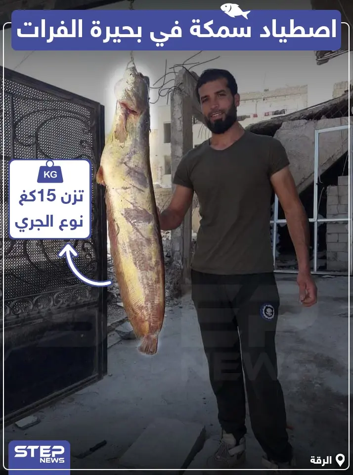 اصطياد سمكة في بحيرة الفرات تزن 15 كغ !: بحيرة الفرات
