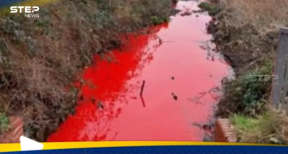 بعد اكتشاف علامة "نهاية العالم" في مدينة بريطانية.. السلطات تتحرك: مدينة بريطانية