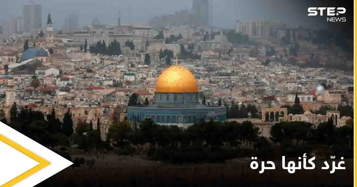 "غرد كأنها حرة" صورٌ من الحياة في فلسطين وأرجائها الحرة يطلقها رواد مواقع التواصل: ترند