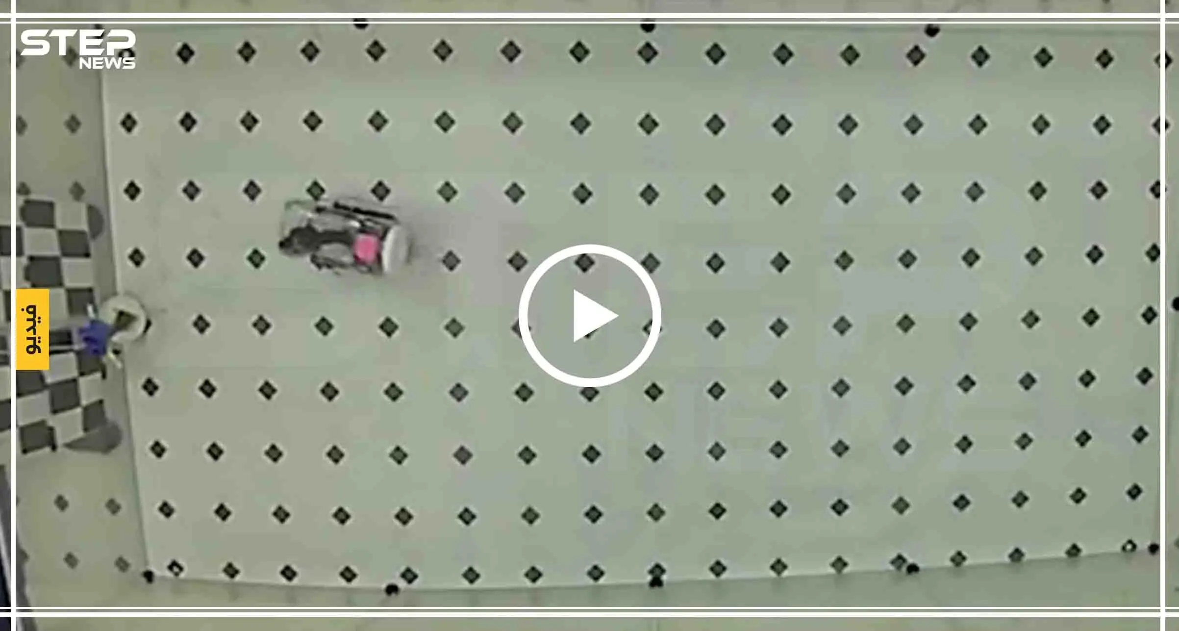 فئران تقود سيارات خاصة في أمريكا "فيديو": فئران