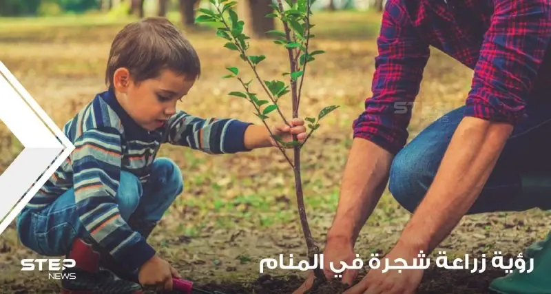 رؤية شجرة في المنام وزراعتها والاعتناء بها ودلالته على الواقع: غرس شجرة في المنام
