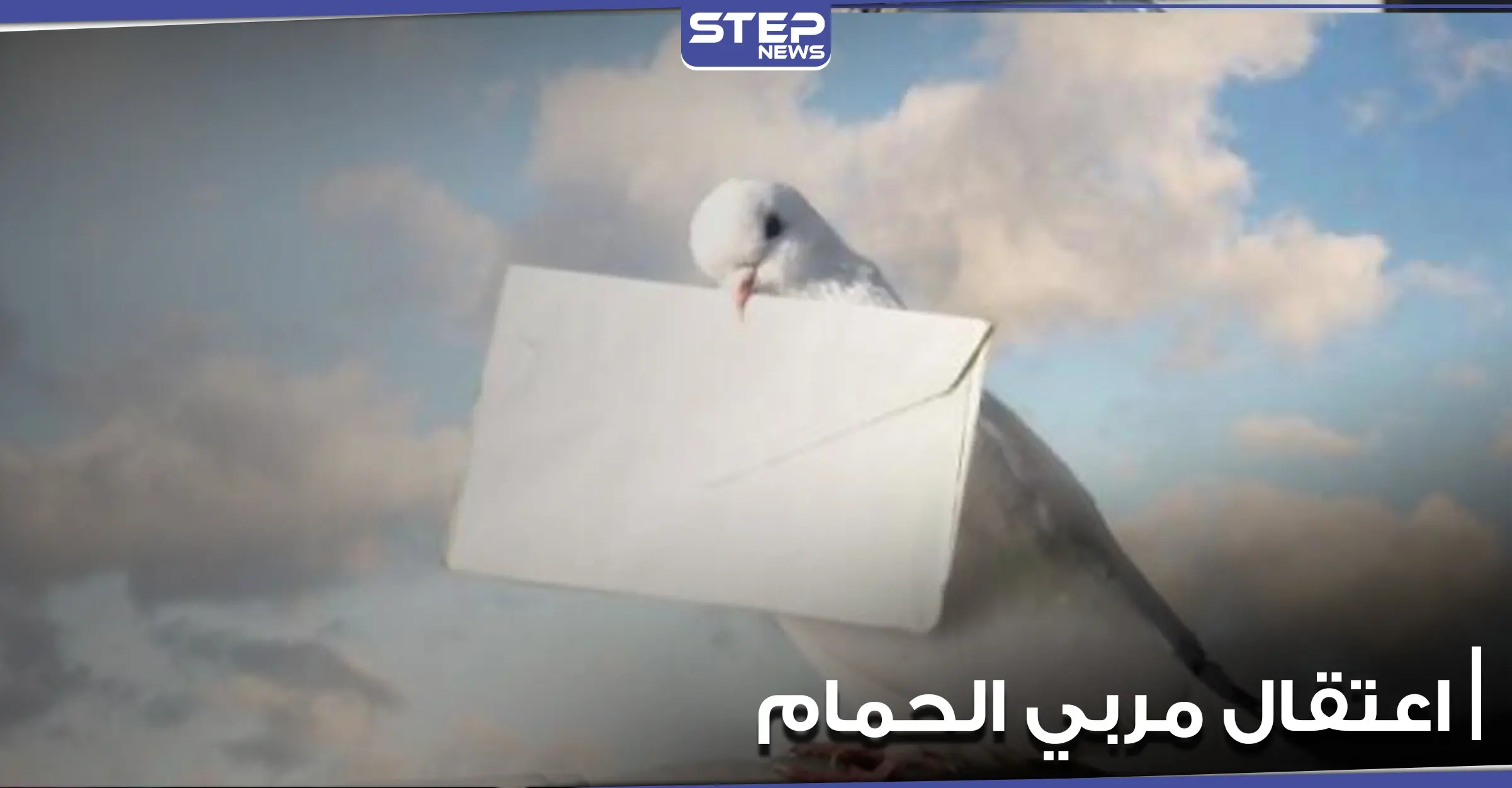 النظام السوري يعتقل عدداً من مربي الحمام بتدمر بتهمة خلق قنوات اتصال مع "داعش": اعتقال مربي الحمام