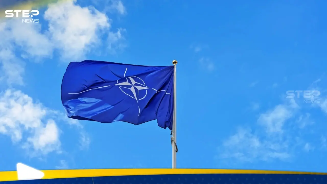 الناتو يخطط لنشر دفاعات آلية على الحدود مع روسيا وبيلاروس: حلف الناتو