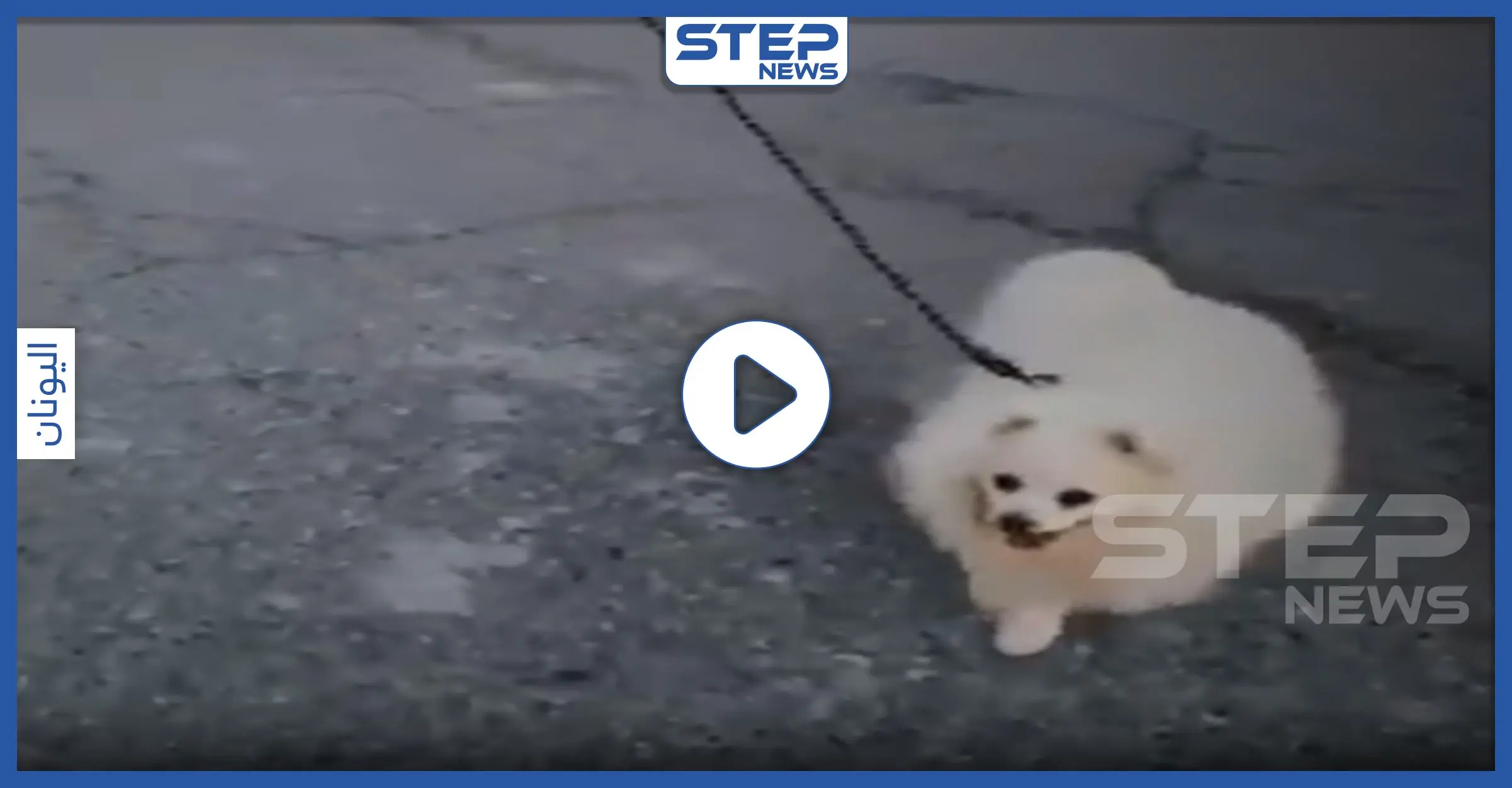 بالفيديو || وسط حظر التجول.. رجل يبتكر طريقة مميزة لتسيير كلبه خوفًا من كورونا: قبرص