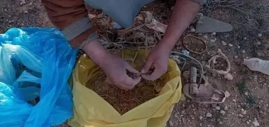 شاهد بالصور|| تنظيف المقابر من السحر والشعوذة في دولة عربية.. ومنع النساء من دخولها: المقابر