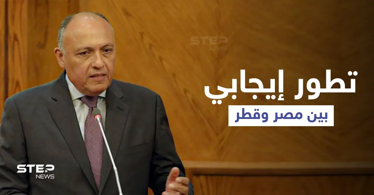 وزير الخارجية المصري يشير إلى "قضايا عالقة" مع تركيا وتطور هام مع قطر: سامح شكري