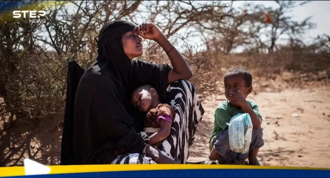 الصومال على حافة المجاعة.. أين الحكومة وهل يتكرر سيناريو 2011!؟: المجاعة في الصومال