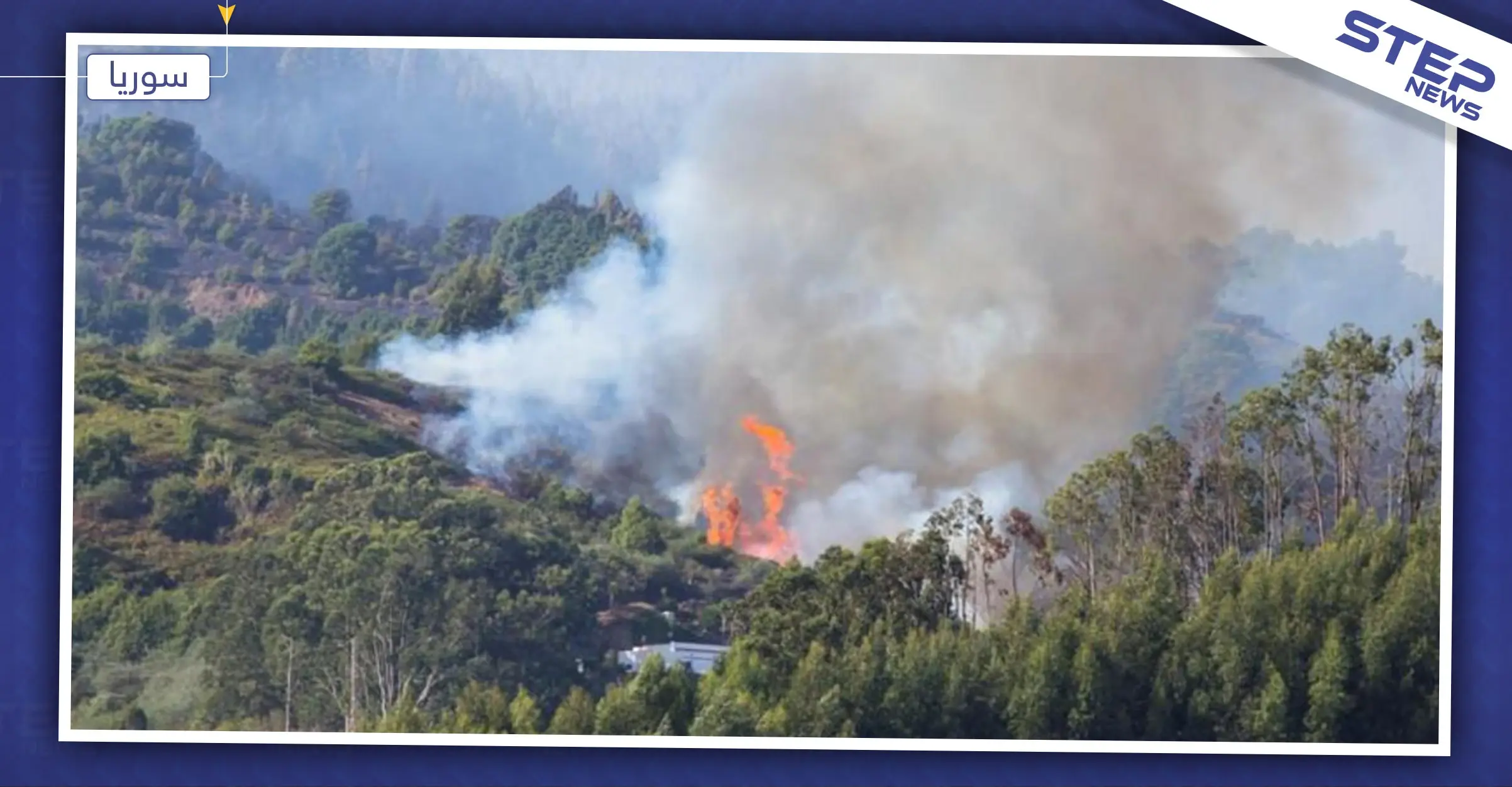 الزراعة السورية تكشف عن سبب حرائق غابات المناطق الساحلية والوسطى: حرائق اللاذقية