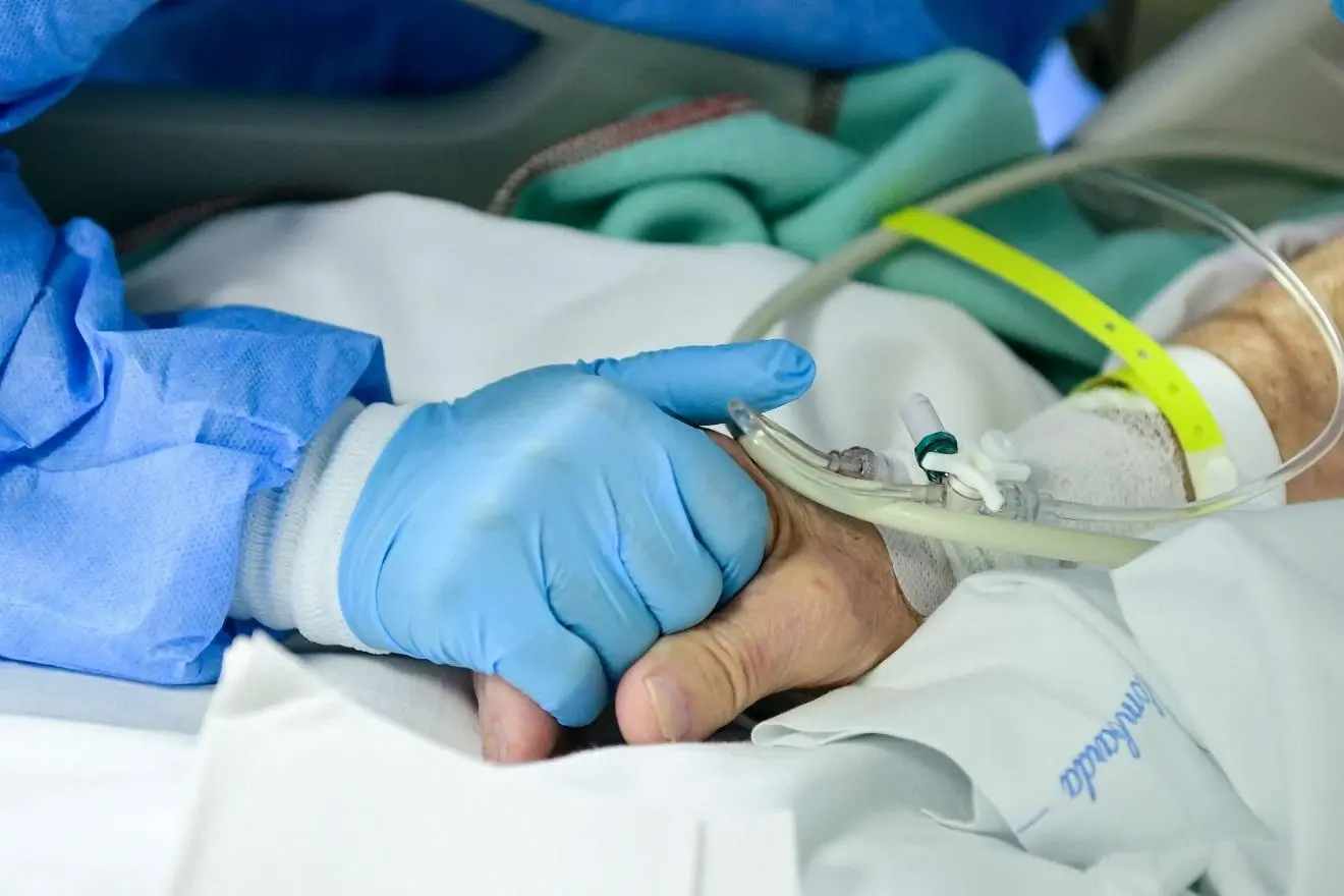 فيروس جديد يهدد حياة الإنسان بسبب أعراضه الخطيرة.. مصدره هذا الحيوان: الخفافيش